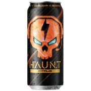 Fitness Food Factory Haunt, 500 мл.