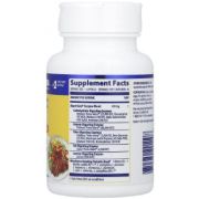 Enzymedica Digest Gold + Probiotics, 45 капс.