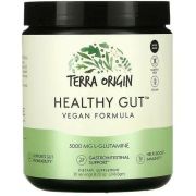 Terra Origin Healthy Gut веганская формула, 246 гр.