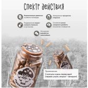 МухоморыЧ Экстракт чаги, 60 капс.