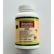 Лесной лекарь мухомор пантерный, 90 капс.